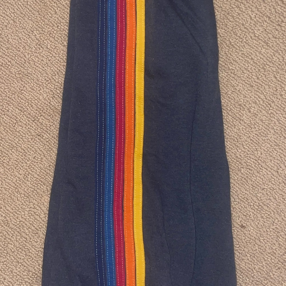 Charcoal Men’s Multicolored Aviator Nation Pants